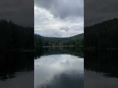 Nature ASMR ❤️#asmrvideo #relax #asmrsounds  #naturesounds #nature #malouasmr #river #norway