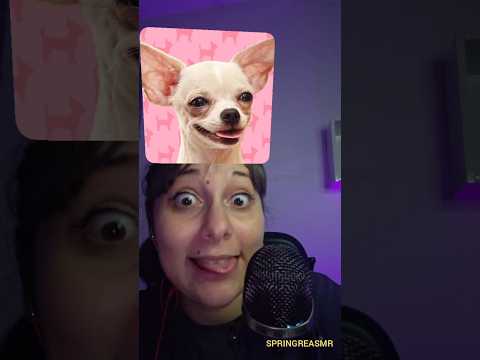 ASMR | Muito bom, o segundo 🤣❤️ #shorts