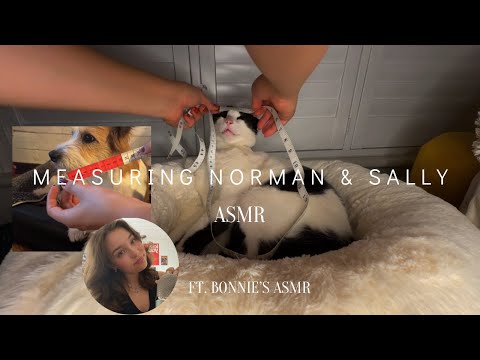 Re-Measuring Norman… and @Bonnies_ASMR Measures Sally 👀