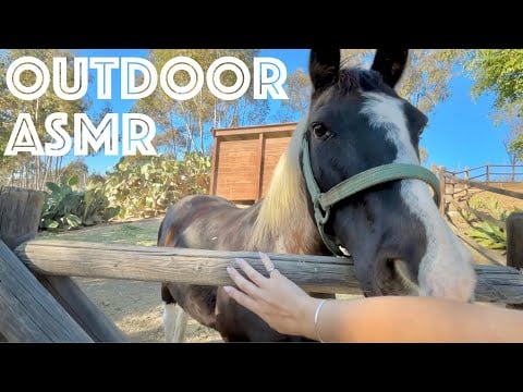 Camera Tapping Around The Ranch (ASMR) 🤠