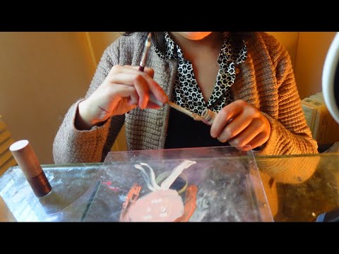 ASMR - Am I the new Bob Ross ? Tv was loud even with doors shut