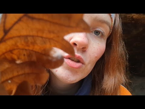 ASMR in a forest cave 🌲 personal attention & guided relaxation