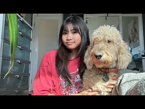 ASMR petting my dogs