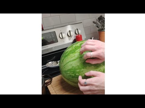 ASMR Cutting a Watermelon 🍉 (dog treats)