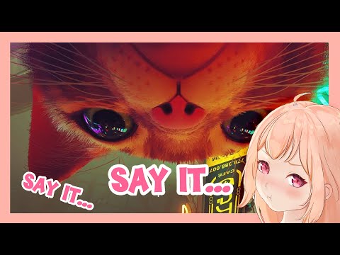 Chasing robot in Stray to say I am cute