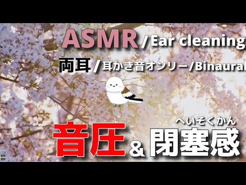 【ASMR/Ear Cleaning/Binaural】反対側の耳が詰まってるかのように錯覚する耳かき【両耳版？/ガサゴソ/耳かき/イヤホン必須】