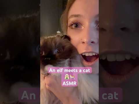 Elf's first time seeing a cat 🐈🧚🏻 ASMR ✨