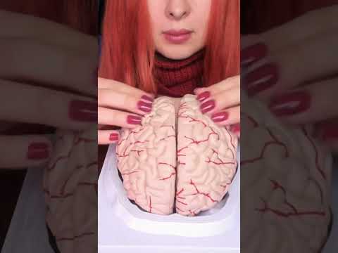 ASMR Most Tingly Brain Massage Ever (No Talking) #shorts