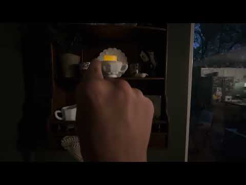 ASMR Lofi Shelf Tour W/ Tracing, Hand Movements, & Camera Tapping 