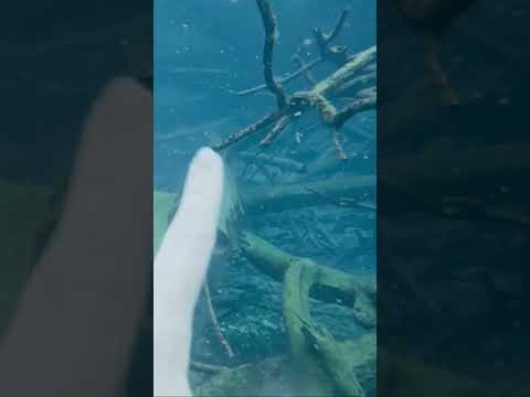 UNDERWATER ASMR at Paisu Pok Lake #relax #tingles #asmr #tapping #tracing #asmrshorts #shorts