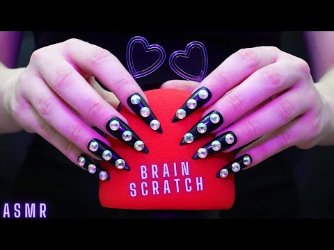 Asmr Deep Mic Scratching - Brain Scratching | Asmr No Talking for Sleep with Long Nails - 4K