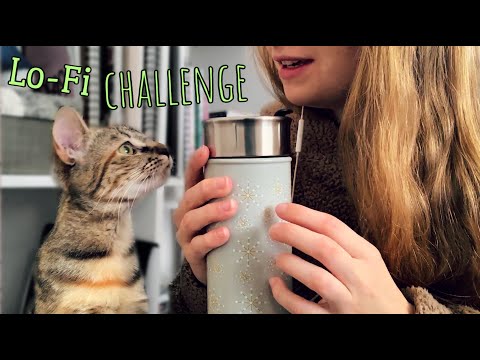 ASMR | Karuna Satori 5pm Lo-Fi Challenge