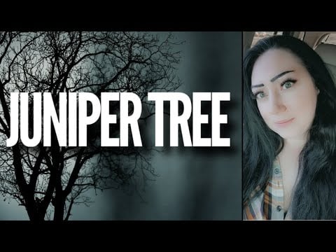 ASMR | THE BROTHERS GRIMM - Juniper Tree - Haunted Forest Ambience - Soft Spoken Reading for Anxiety