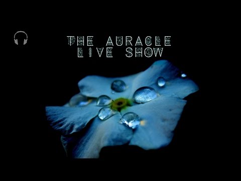 The Auracle Live Stream 25th Feb 23:30 GMT Late night chill, mouth sounds, tapping and more...