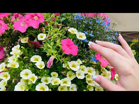 ASMR! Moms Garden...💐🌸🌹🌻🌼🪷