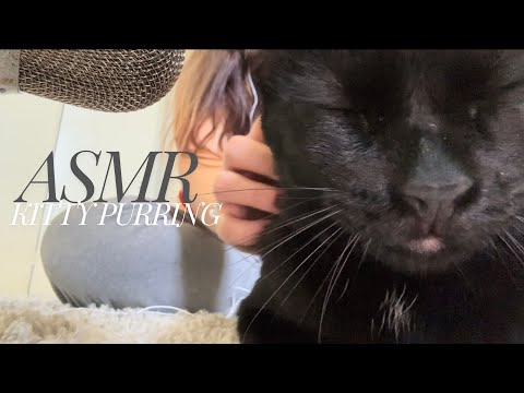 ASMR my cat tries to help you fall asleep! *Relaxing*