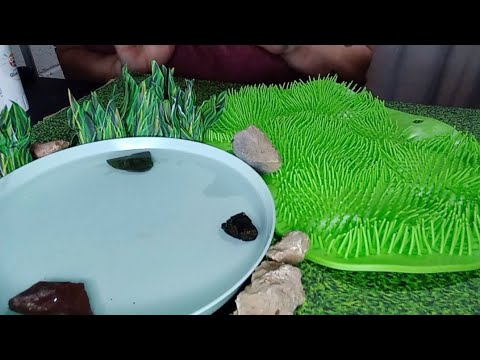 crafting ASMR pond project
