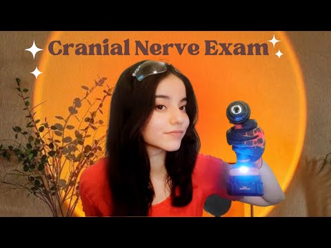 ASMR | Cranial Nerve Exam but with the Wrong Tools