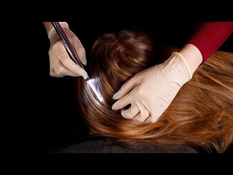 ASMR | Scalp inspection no talking [TINGLY FRIDAY]