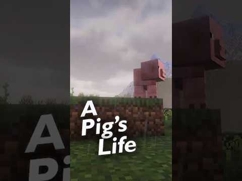 Life of a Minecraft Pig 🐖