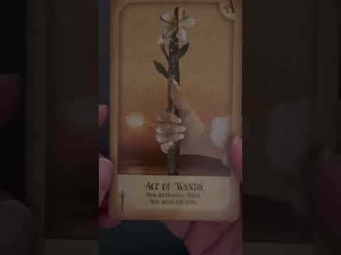 Something new is on the horizon #tarot #fortunetelling #asmr #timelessreading