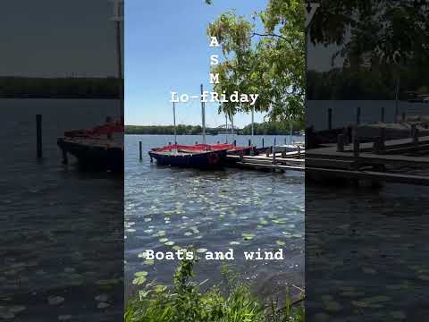 Lo-fRiday ASMR 🌙 Boats and wind #asmr #lofiasmr #publicasmr #watersounds #relax