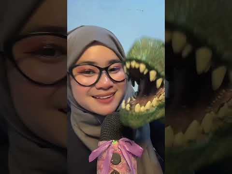 RANDOM asmr #asmrvideo #asmr