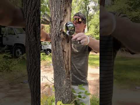 ASMR | Giving a Tree a Massage #asmr