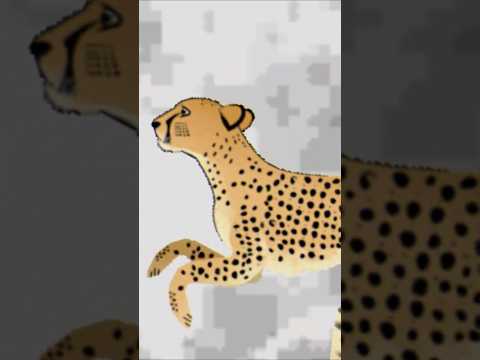 ASMR | Girl Bsf is About to Confess When a Cheetah Runs Her Over ─♡─ #asmr #asmrroleplay #comedyasmr