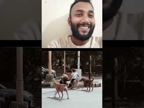 গরিবের রাজ খুলনা ভিআইপি সিকিউরিটি মেয়ে চলে#shorts