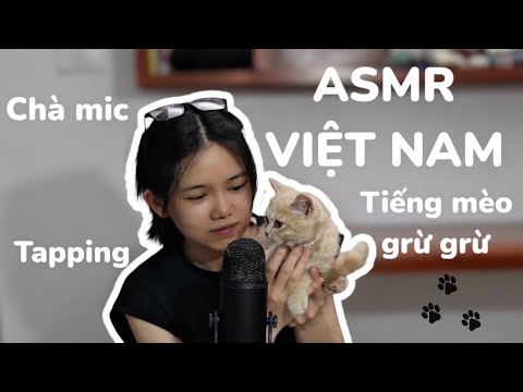 ASMR VIỆT NAM | Mình đã ngủ gật 6-7 lần khi edit cái video này...|