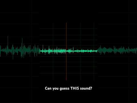 ASMR Guess THIS Sound?! #asmrvideo