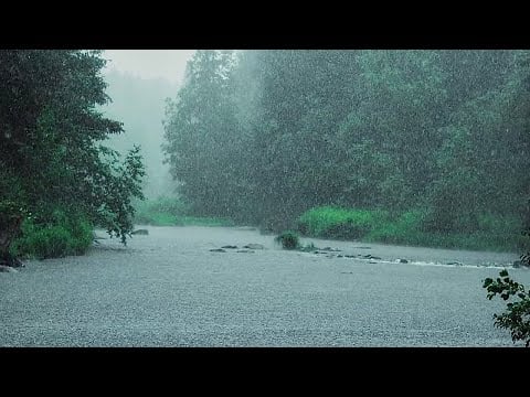 2 HOURS Rain sounds. Relaxing - For sleeping. Foggy landscape, trees, water, forest. 🌧️ 😴