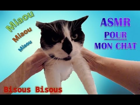 [ASMR Français] ROLEPLAY - ASMR FOR my cat / Vidéo POUR mon chat - Kissing sounds, purring cat
