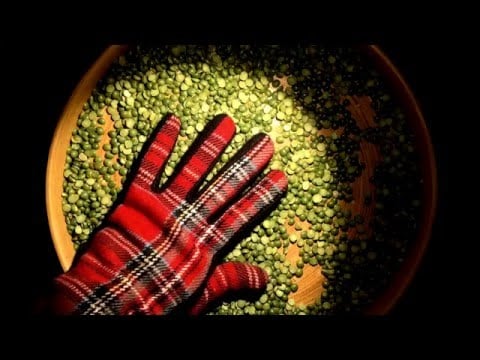 *＜TARTAN GLOVES with PEAS and OPERAᒄ₍⁽ˆ⁰ˆ⁾₎ᒃ♪♬ [[ASMR]]