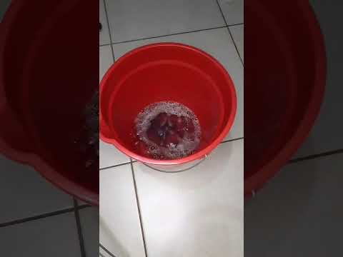 limpando a casa #satisfatório #limpeza #asmr #relaxante