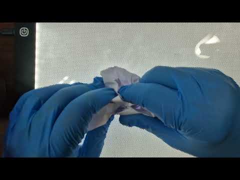 Squeezed Paper ASMR: Discover the Most Soothing Triggers | With Inaudible whispers and LATEX gloves