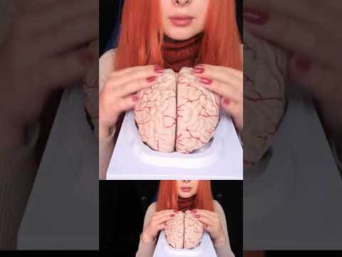 ASMR 🧠 BRAIN TINGLES... Literally! Sleep & Relaxation #asmr #shorts