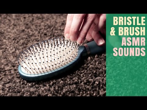 2 Intense ASMR Triggers ~ Brush Tapping & Bristle Sounds (no talking)