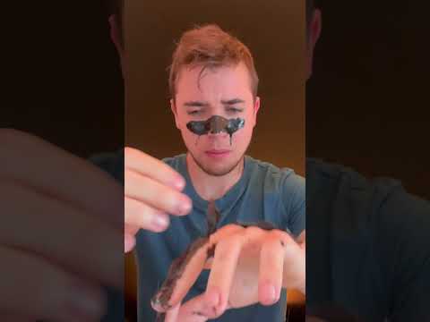 Asmr #asmr #chuchotement #mukbang #asmrlive