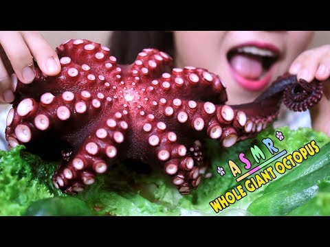 ASMR GIANT JAPAN OCTOPUS (タコ刺身)WITH BABY CUCUMBER (EATING SOUNDS) No Talking | LINH ASMR