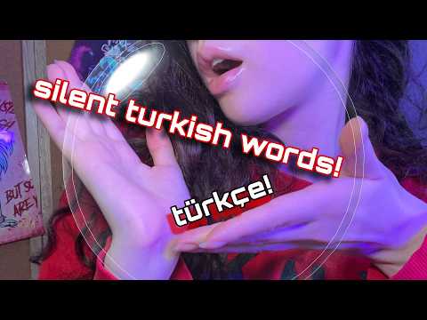 ASMR Guess the Silent Turkish Word! English ➡️ Türkçe ASMR