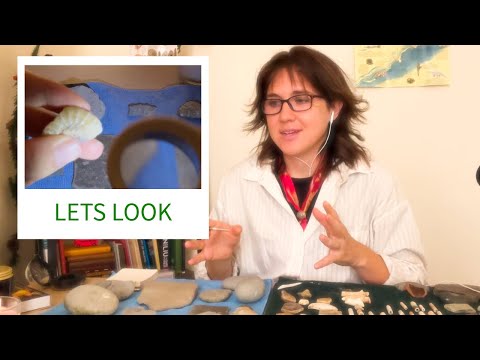 What does it all mean? 🏺🔍 Artifacts, Life, & Fossils ASMR