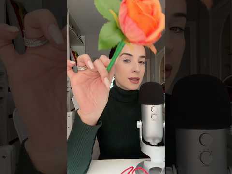 ASMR | Tag, You’re Out