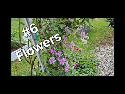 Garden 2026 Flowers (ASMR)