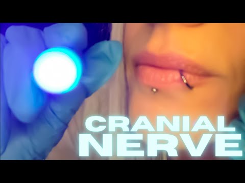 ASMR | The MOST Chaotic Cranial Nerve Exam (✨Miss Manganese inspired✨)