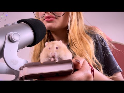 ¿No sientes ASMR?✨