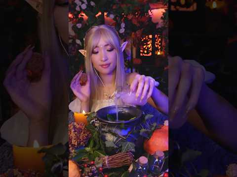 ELIXIR DES SONGES (partie 1/3)
