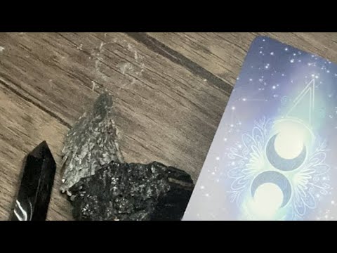 🌙 Rice Reading | Sharing Messages 🃏