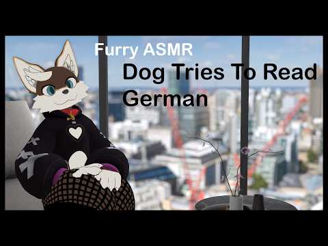 Dog Tries To Read German